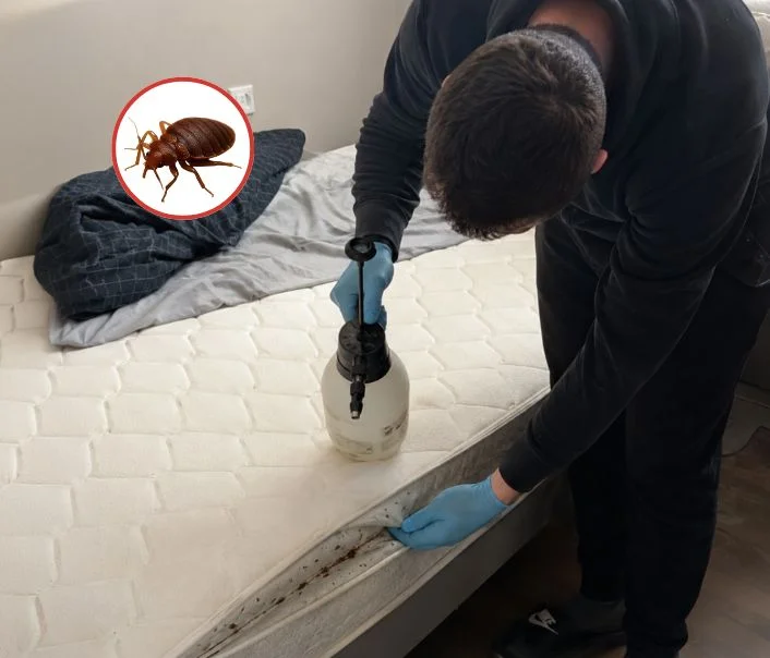 Technicien traitant un matelas contre les punaises de lit à Jouy-le-Moutier